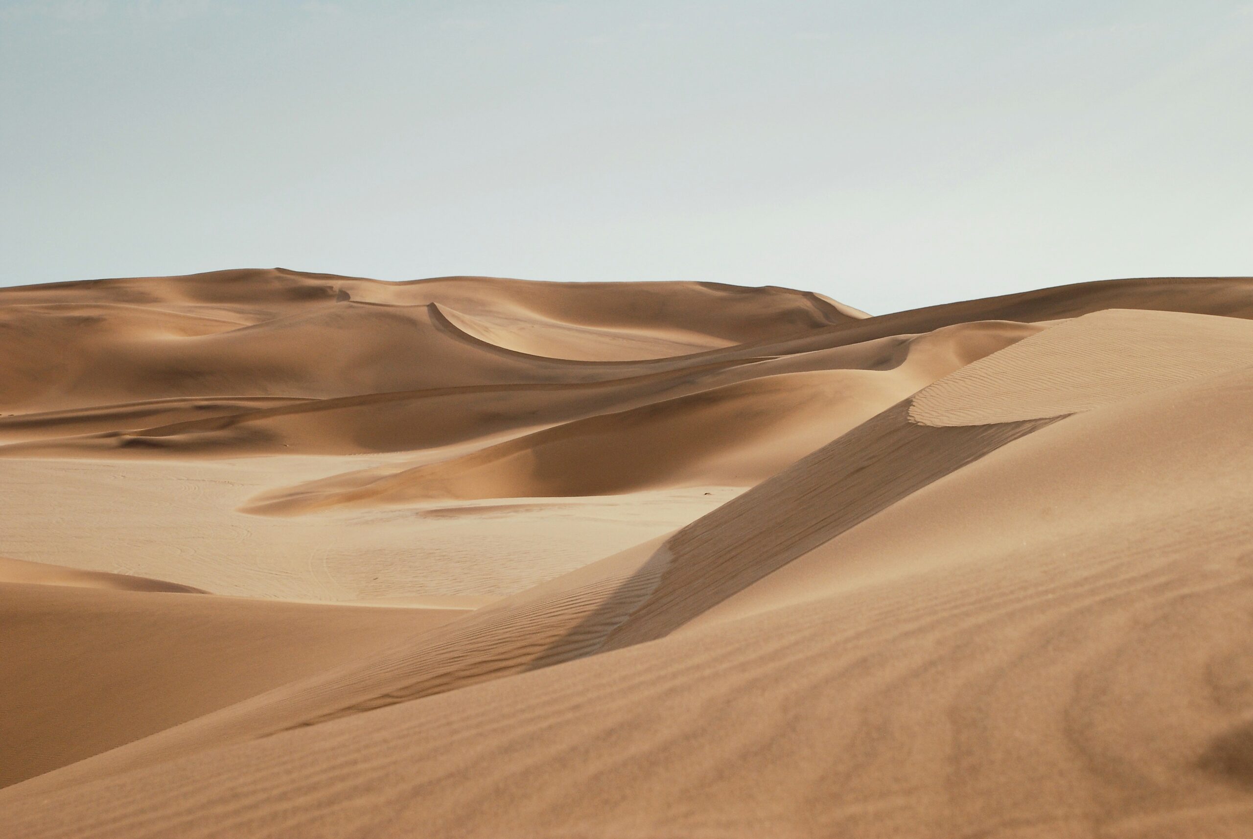 Orden de los libros de Dune: Guía definitiva